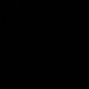 Meet your Posher, Myisha